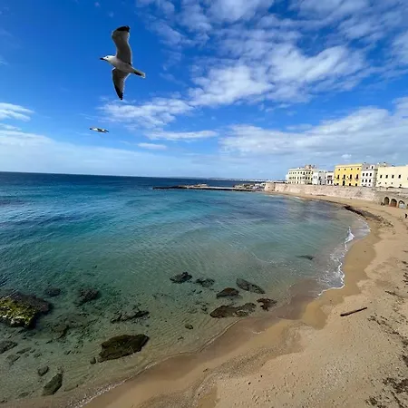 Dimora San Felice - I Limoni