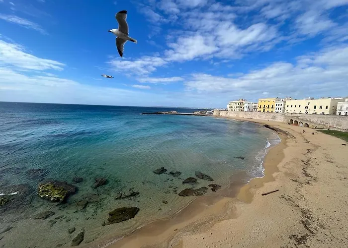 Dimora San Felice - I Limoni